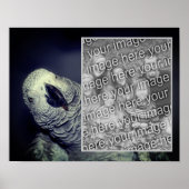 African Grey Parrot Lijst Uw foto toevoegen Poster (Voorkant)