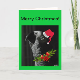 African Grey Parrot Merry Christmas Kaart