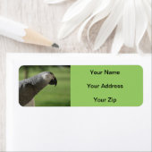 African Grey Parrot retouradreslabels Etiket (Insitu)