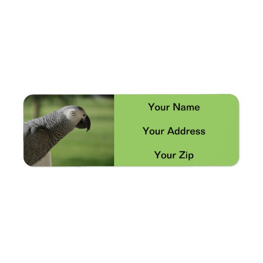 African Grey Parrot retouradreslabels Etiket (Voorkant)