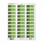 African Grey Parrot retouradreslabels Etiket (Full Sheet)