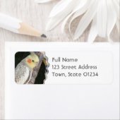 African Grey Parrot Return Label (Insitu)
