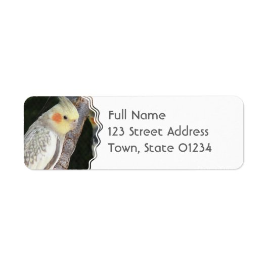 African Grey Parrot Return Label (Voorkant)