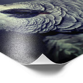 African Grey Parrot Schattige Bird 8x10 Foto Afdruk (Hoek)