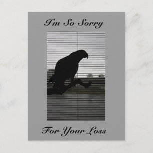 African Grey Parrot Silhouette Sympathy Briefkaart