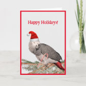 African Grey Parrot Vakantie Groet Kaart (Voorkant)