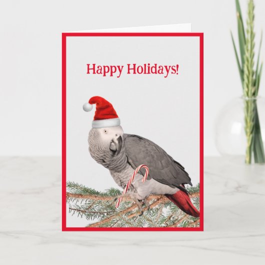 African Grey Parrot Vakantie Groet Kaart (Voorkant)