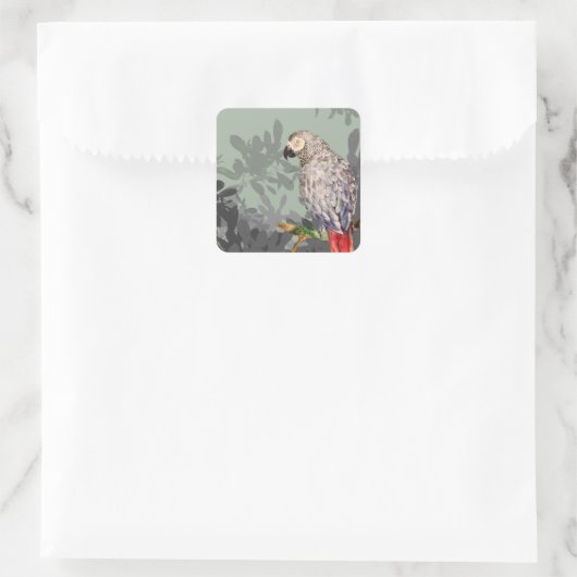 African grey parrot vierkante sticker (Tas)