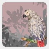 African grey parrot vierkante sticker (Voorkant)