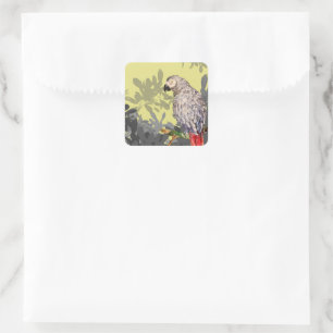African grey parrot vierkante sticker