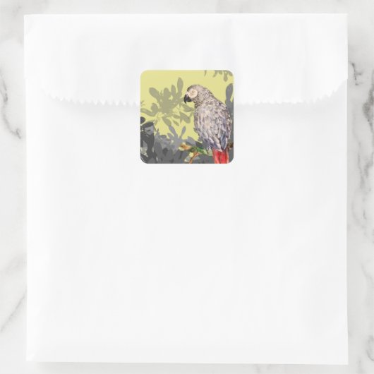 African grey parrot vierkante sticker (Tas)