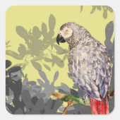 African grey parrot vierkante sticker (Voorkant)