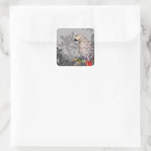 African grey parrot vierkante sticker (Tas)
