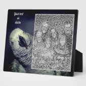 African Grey Parrot Voeg je eigen foto toe Fotoplaat (Zijkant)