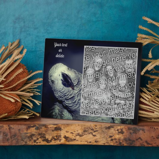 African Grey Parrot Voeg je eigen foto toe Fotoplaat (Zijkant)