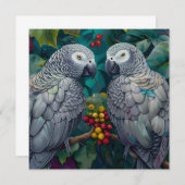 African Grey Persimmon-Berry Duet (Voorkant / Achterkant)