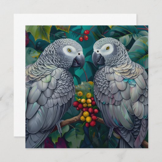 African Grey Persimmon-Berry Duet (Voorkant / Achterkant)