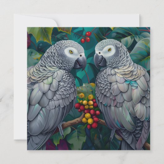 African Grey Persimmon-Berry Duet (Voorkant)