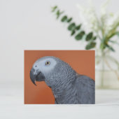 African Grey Photo Briefkaart (Staand voorkant)