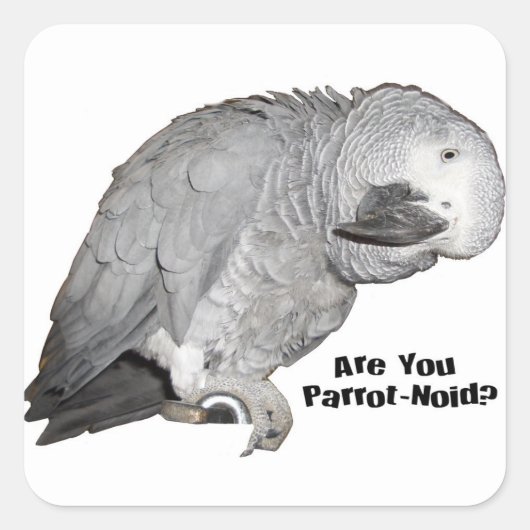 African Grey Stickers (Voorkant)