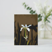 African Iris Fortnight Lily Flower Briefkaart (Staand voorkant)