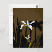 African Iris Fortnight Lily Flower Briefkaart (Voorkant / Achterkant)