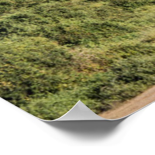 African Landscape with Elephant Poster (Hoek)