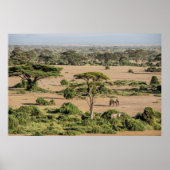 African Landscape with Elephant Poster (Voorkant)