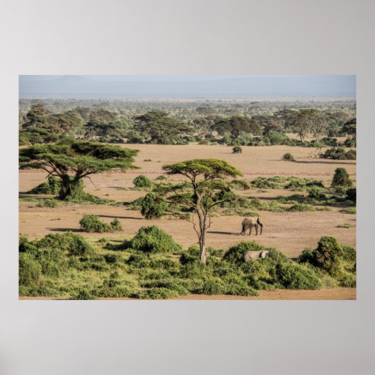 African Landscape with Elephant Poster (Voorkant)