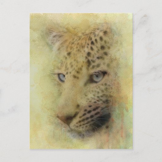 African Leopard Wildlife Waterverf Briefkaart (Voorkant)