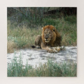 African Lion 20 x 20 Puzzle Legpuzzel (Verticaal)