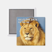 African Lion 2 Save-the-Date Magneet (Voorkant / Achterkant)
