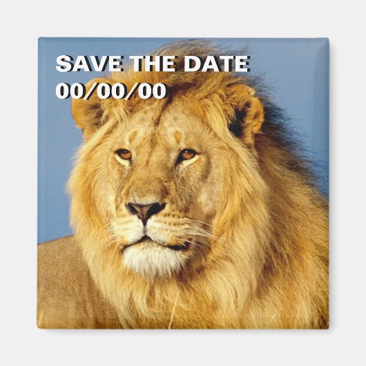 African Lion 2 Save-the-Date Magneet (Voorkant)
