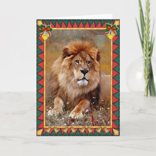African Lion Animal Blank Christmas Kaart (Voorkant)