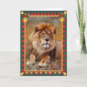 African Lion Animal Blank Christmas Kaart