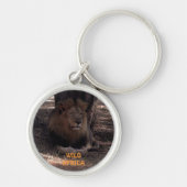 AFRICAN LION Big Five Cat Wildlife Sleutelhanger (Voorkant)