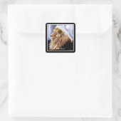 AFRICAN LION Big Five Cat Wildlife Stickers (Tas)