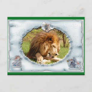 African Lion Christmas Briefkaart