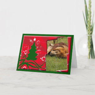 African Lion Christmas Wenskaart Feestdagen Kaart