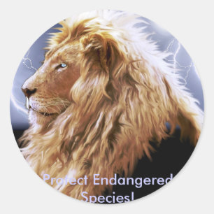 African Lion Endangered Species Ronde Sticker