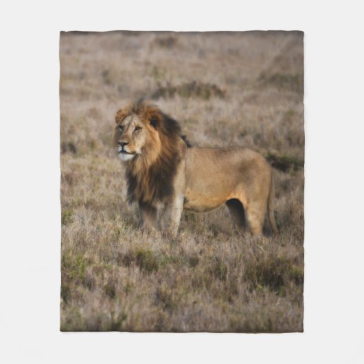 African Lion Fleece Blanket Deken (Voorkant)