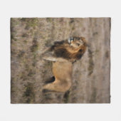 African Lion Fleece Blanket Deken (Voorkant (Horizontaal))