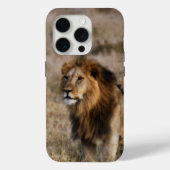 African Lion in Gras iPhone 7 Hoesje (Achterkant)