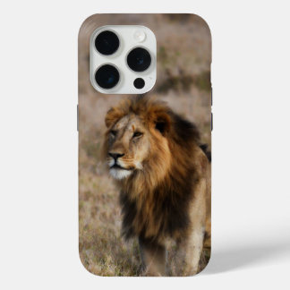 African Lion in Gras iPhone 7 Hoesje