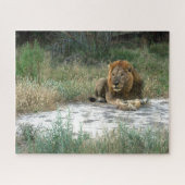 African Lion Jigzaag Puzzle Legpuzzel (Horizontaal)
