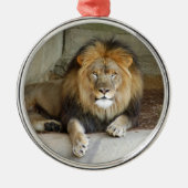 African Lion Kerstversiering Metalen Ornament (Voorkant)