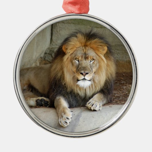 African Lion Kerstversiering Metalen Ornament (Voorkant)