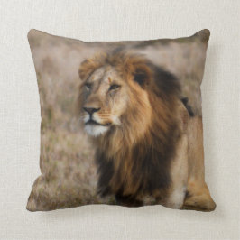 African Lion Sierkussen
