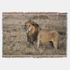 African Lion Throw Blanket Deken