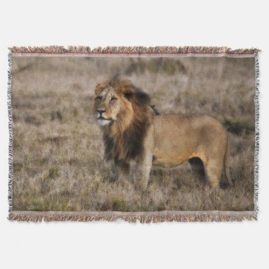 African Lion Throw Blanket Deken (Voorkant)